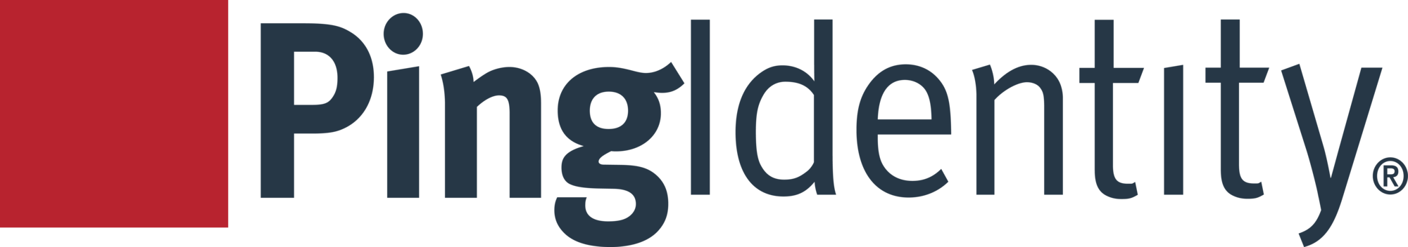 Ping Identity